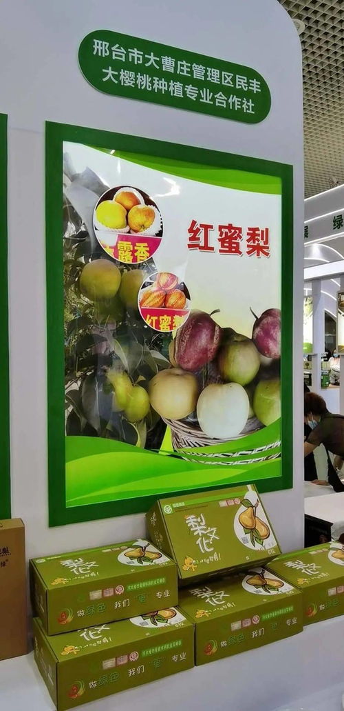 寧晉綠色農(nóng)產(chǎn)品在廈門綠博會(huì)廣受歡迎，水產(chǎn)品零售表現(xiàn)搶眼