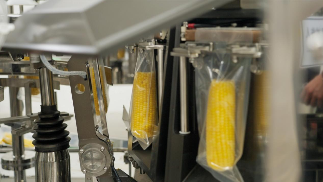 對話十月稻田董事長王兵 從農(nóng)產(chǎn)品零售到新一代廚房主食品牌的突圍之路