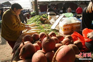 食用農(nóng)產(chǎn)品價格微幅上揚，雞蛋漲幅達2.2%引關(guān)注